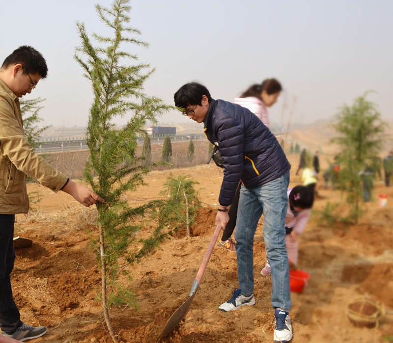 香港免费资料大全