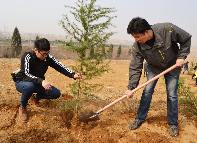香港免费资料大全
