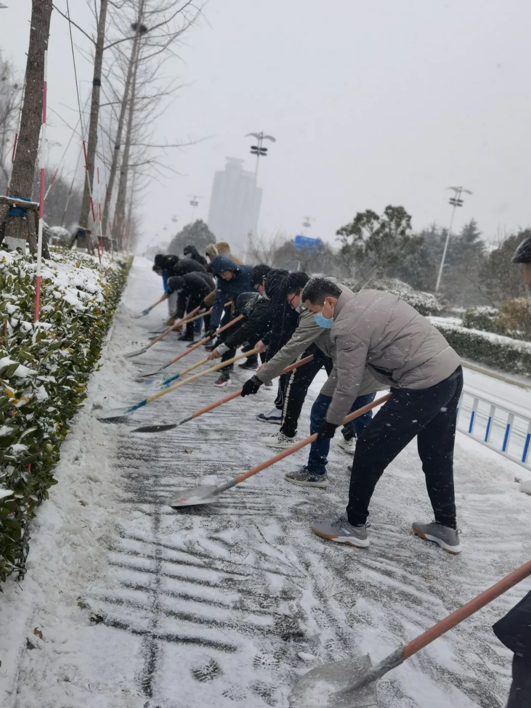 香港免费资料大全