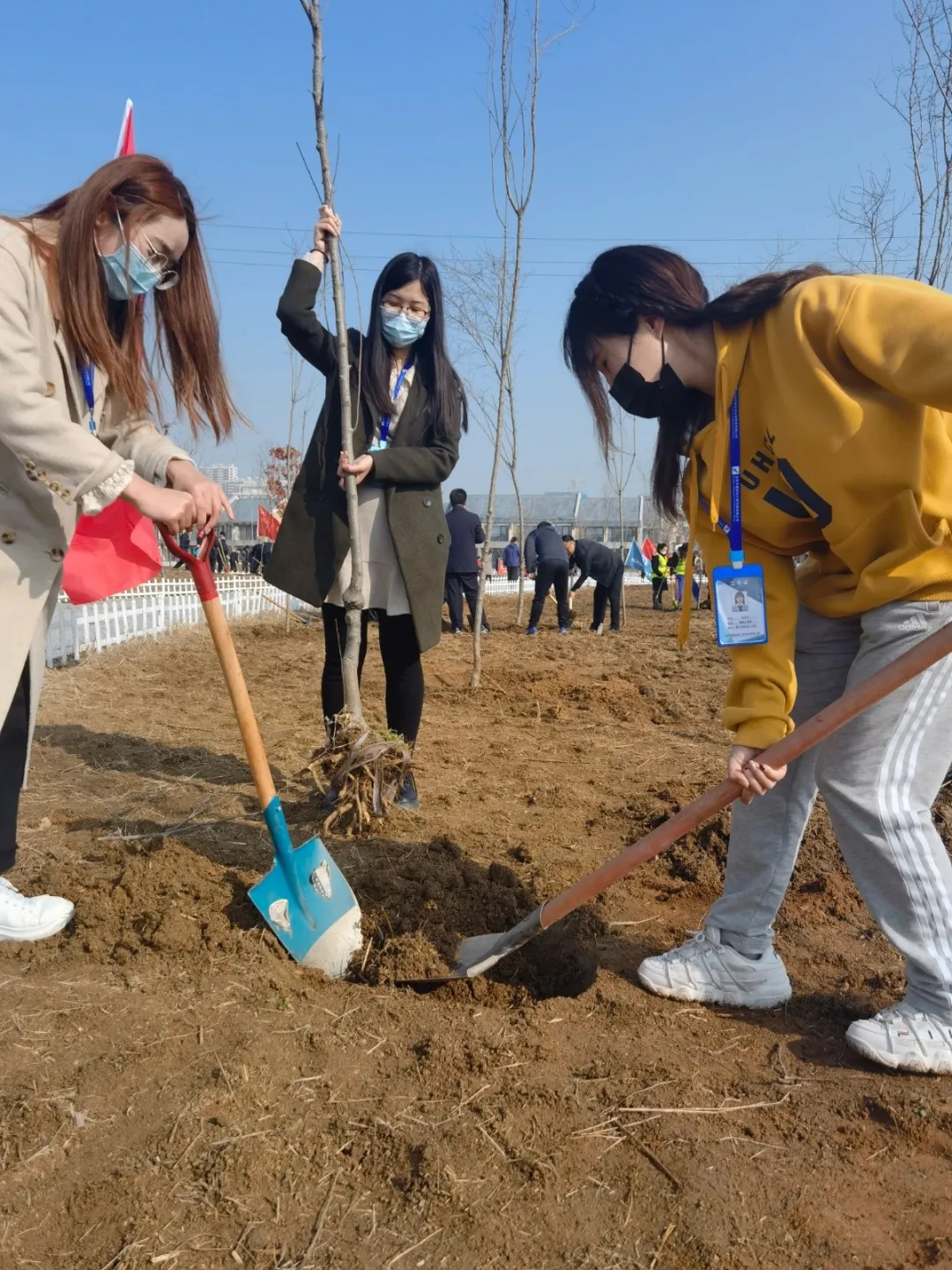 香港免费资料大全